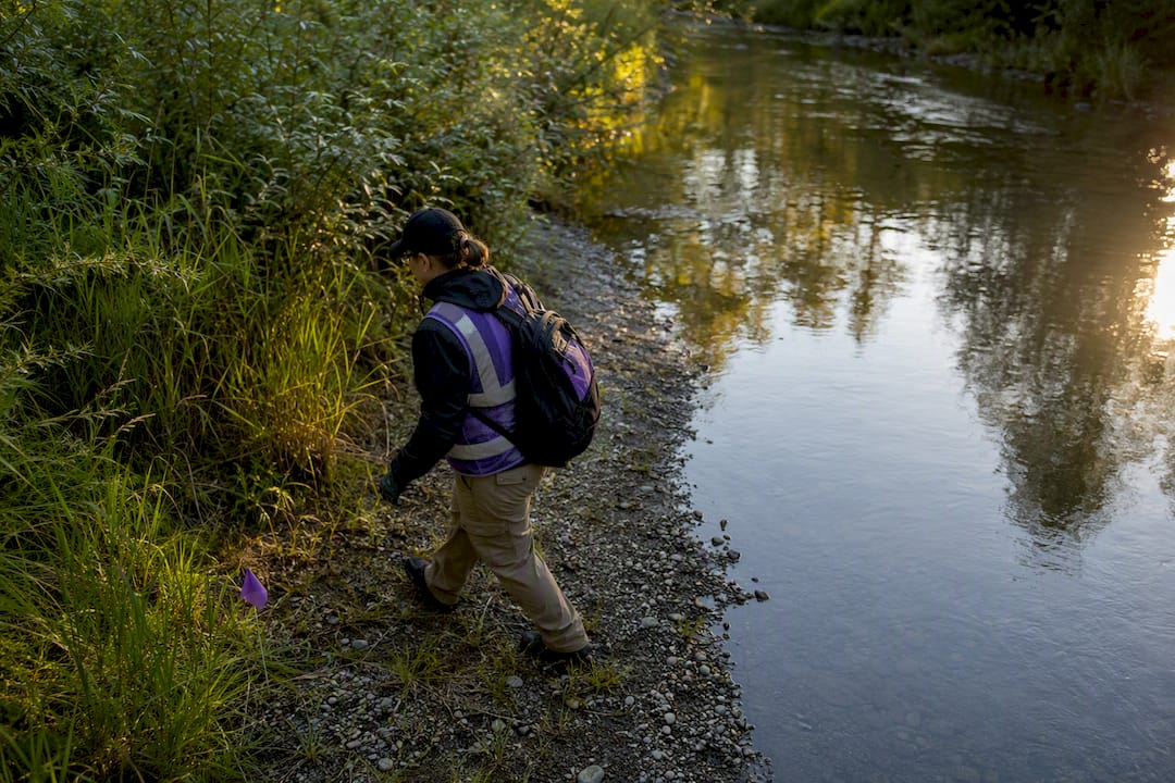 Searcher scanning a remote riverbank