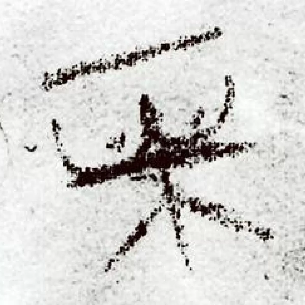 Deciphering Criminal Patterns: The Distinction Between Modus Operandi and Signature