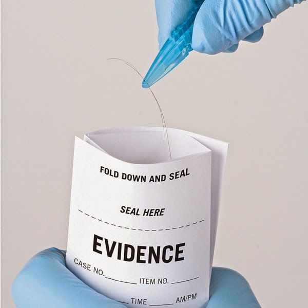 Unraveling Crimes: The Pivotal Role of Hair and Fiber Evidence in Major Cases