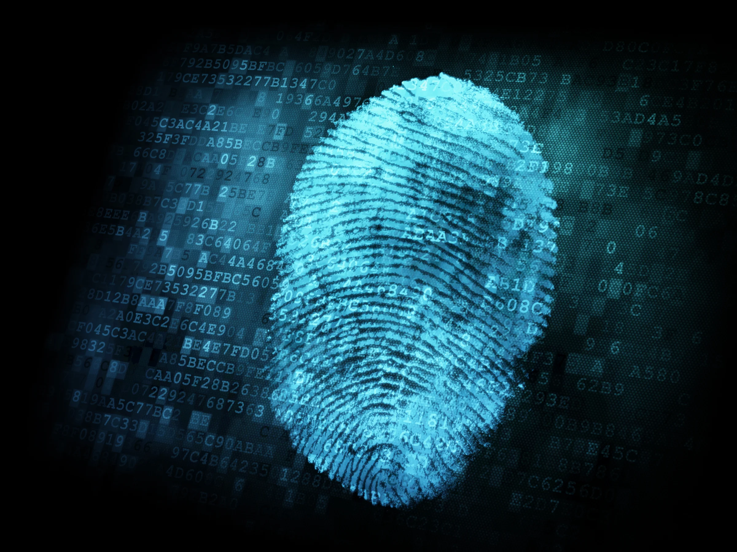 The Postmortem Puzzle: Understanding Why Fingerprints May Fail After Death