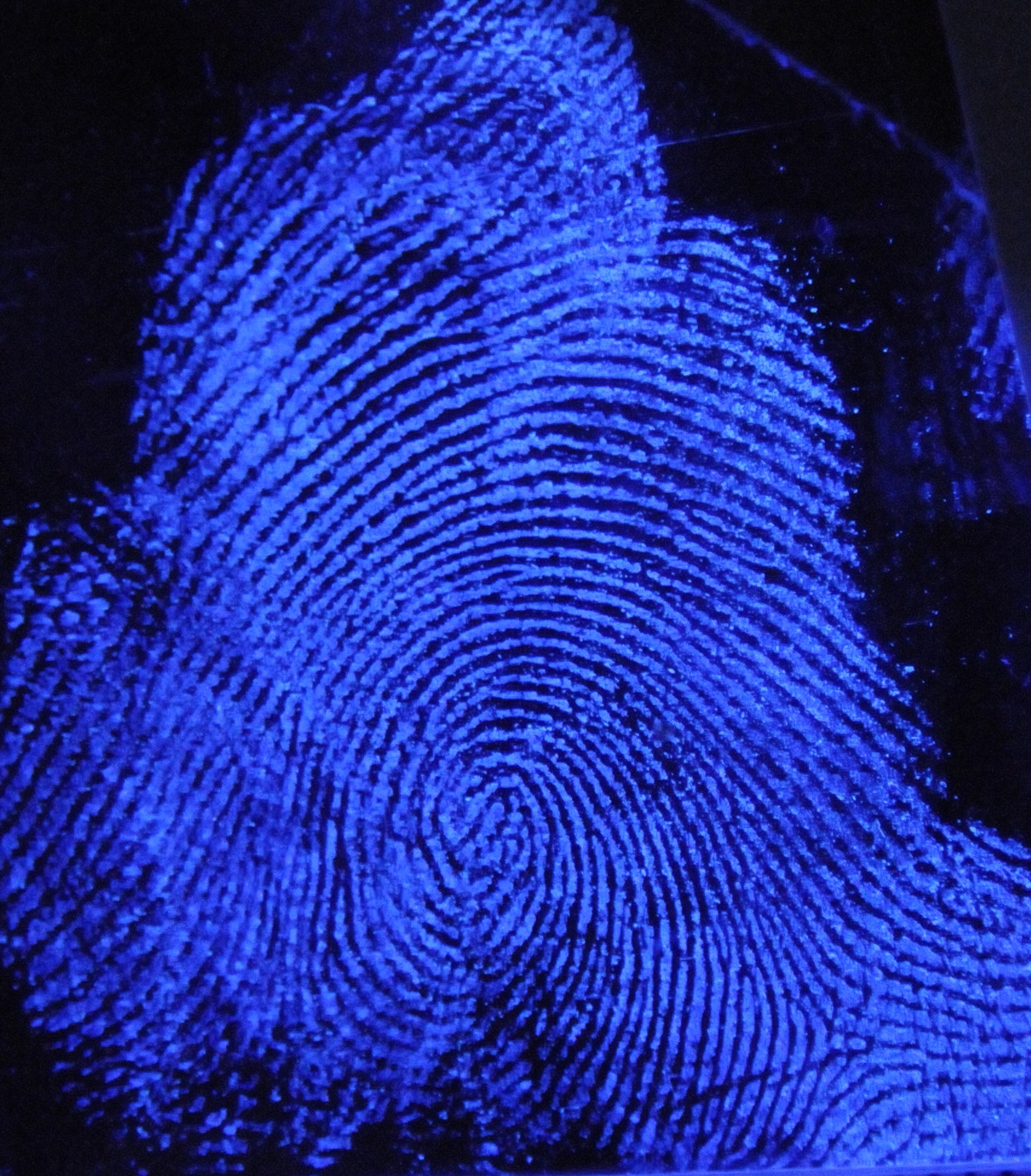  Illuminating the Invisible: The Science Behind Luminol and Bloodstain Pattern Analysis 