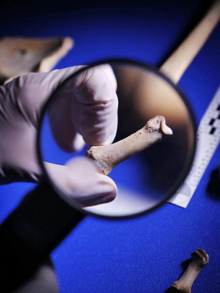 Decoding the Legal Maze: Procedures and Challenges in Handling Unidentified Human Remains