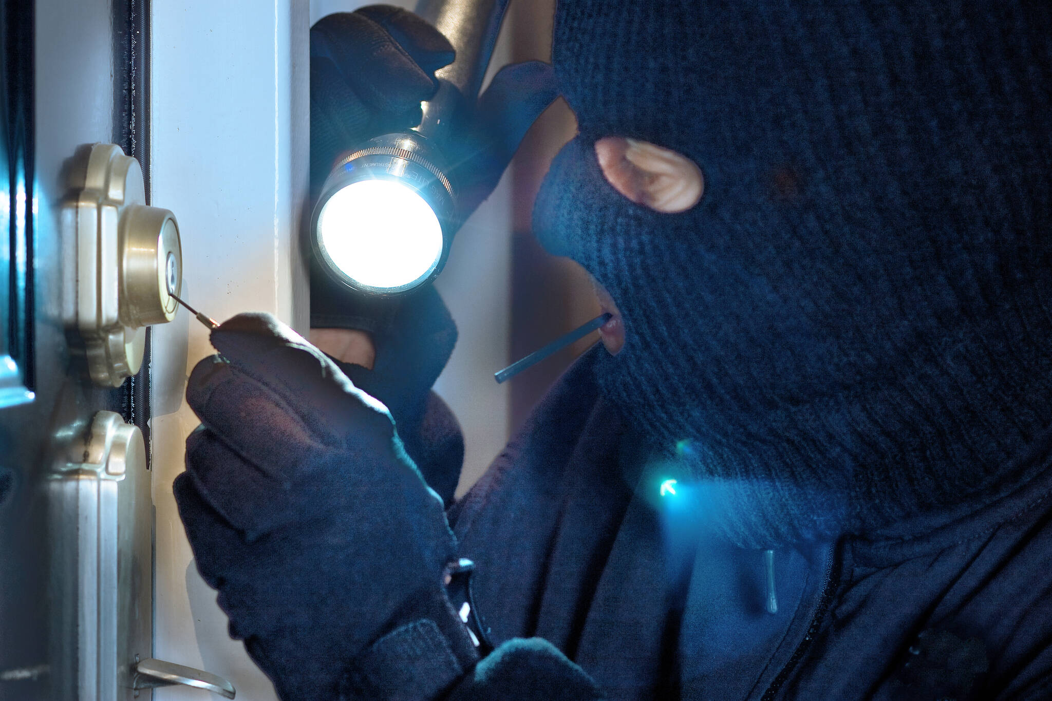 Unveiling the Shadows: The Global Rise of 'Crime Tourism' and Its Implications