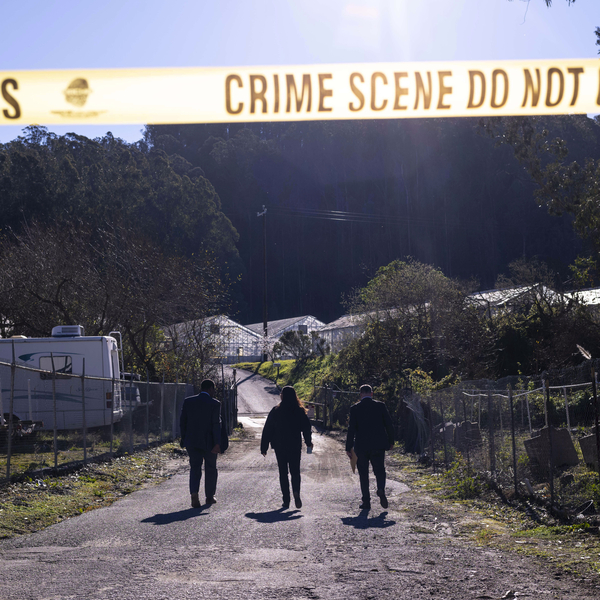 Unraveling the Distinctions: Spree Killers Versus Mass Murderers