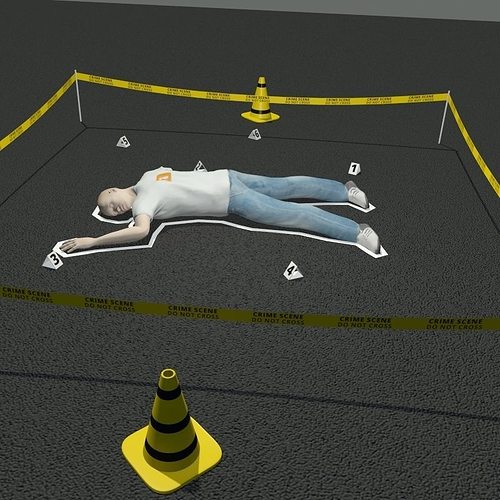 Revolutionizing Cold Case Investigations: The Impact of 3D-Printed Crime Scene Models