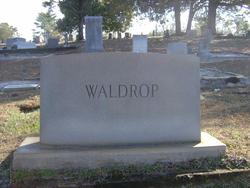 Edgar Cleveland Waldrop death by force case in Greenville, SC