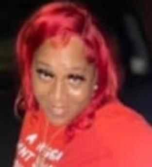 Nicole Hamilton death by force case profile photo