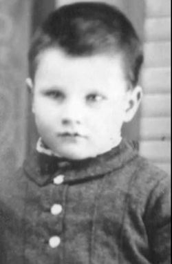 Howard Pitezel death by force case profile photo