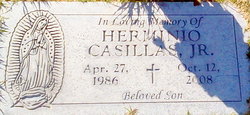 Herminio Jr. death by force case profile photo