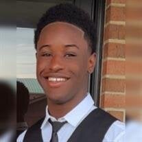 Brandon Robinson Jr. death by force case profile photo