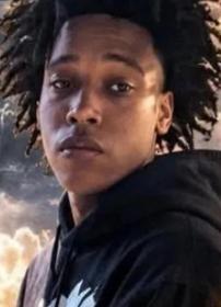 Elijah Allen death by force case in Benton Harbor, MI