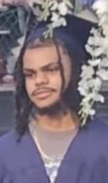 Marseilles Mastin death by force case in Lorain, OH