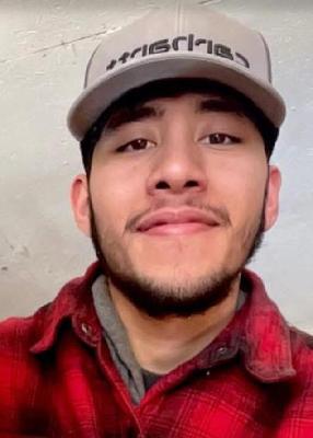 Darrell Napolitano death by force case in Kingston, AR