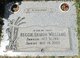 Reggie Williams death by force case profile photo