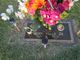 Freddy Valle death by force case profile photo