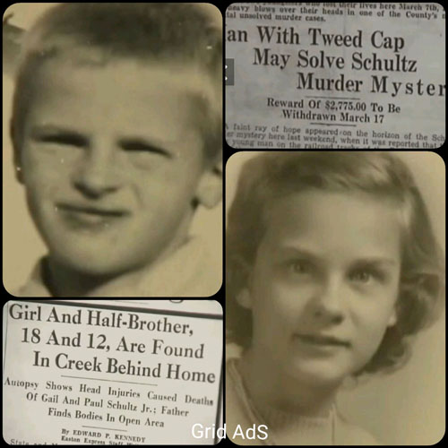 Gail Schultz death by force case profile photo