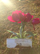 Darrow Dodson death by force case profile photo