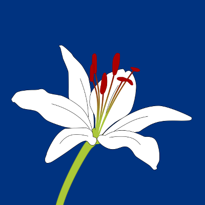 Jackie Petluska death by force case profile photo