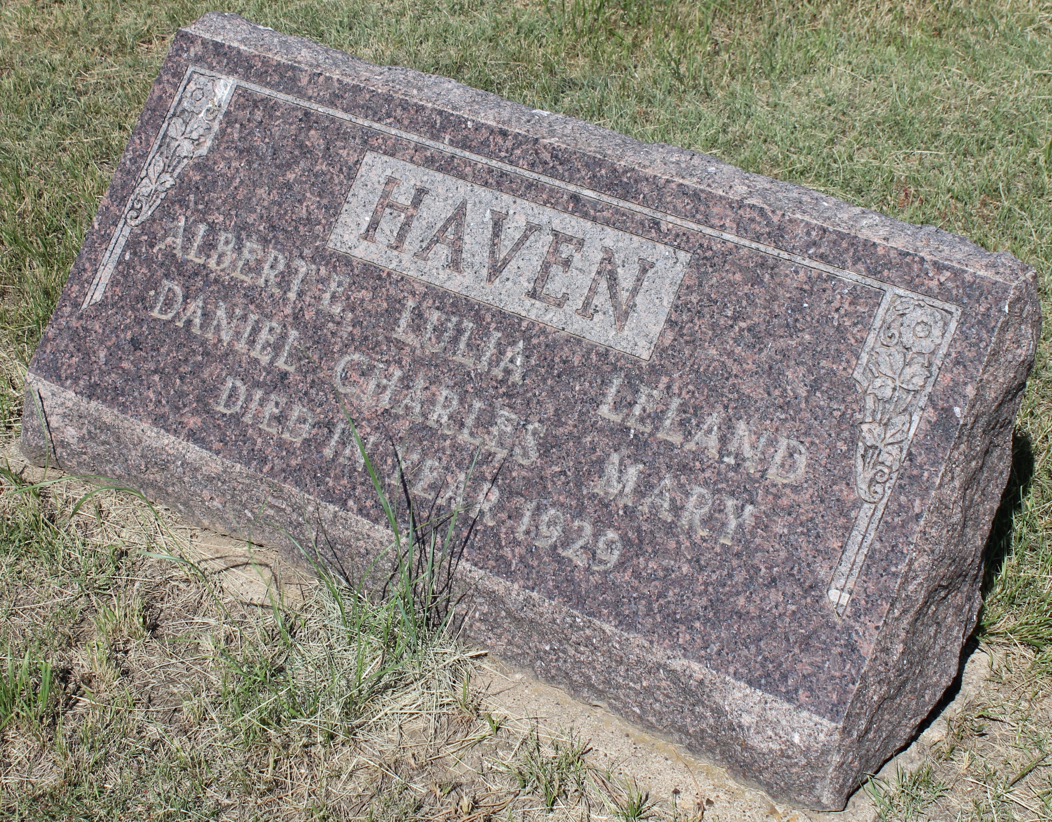 Daniel Haven death by force case profile photo