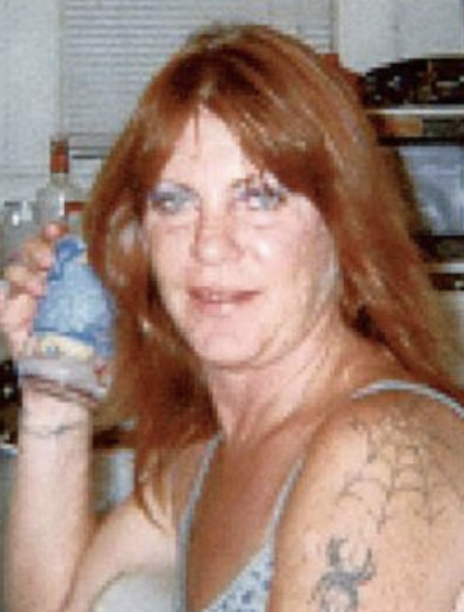 Dawn Petterson death by force case profile photo