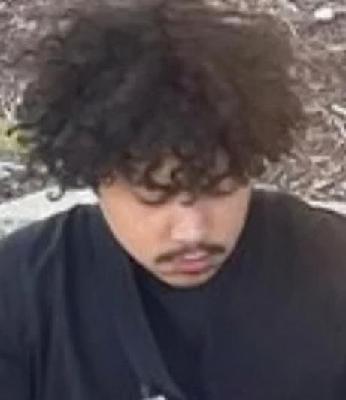 Darnell Lovings Jr. death by force case profile photo