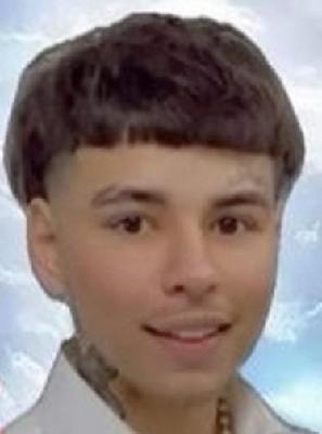 Dylan Brower death by force case profile photo