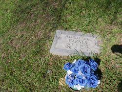 Harold Carnes death by force case profile photo