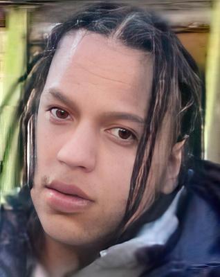 Ariel Henriquez death by force case profile photo