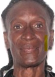 Rhonda Robinson missing person case in St. Petersburg, Florida