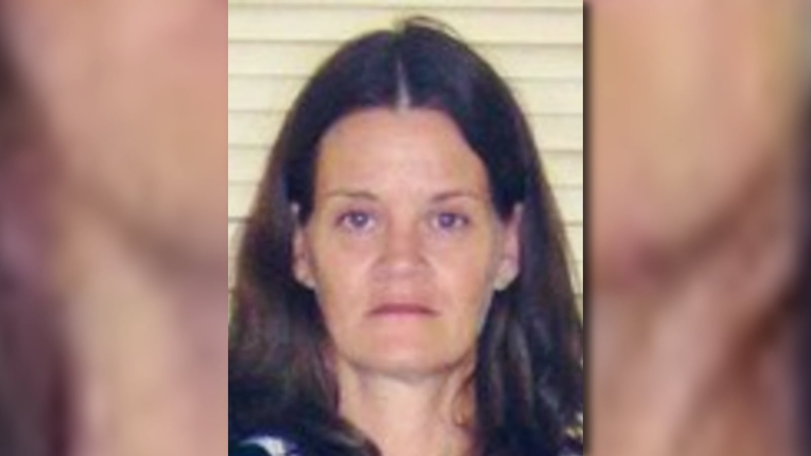 Patricia Lyons missing person case in Savannah, Tennessee
